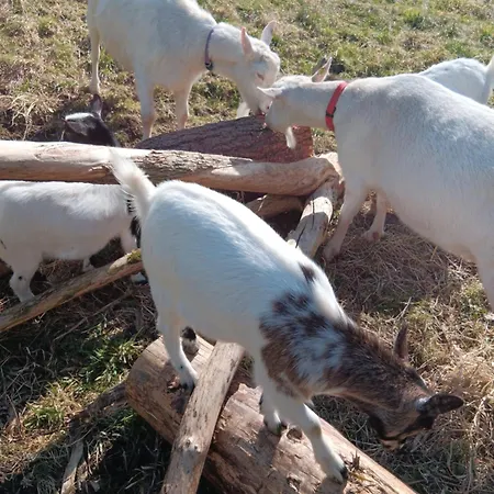 Urlaub Am Bauernhof